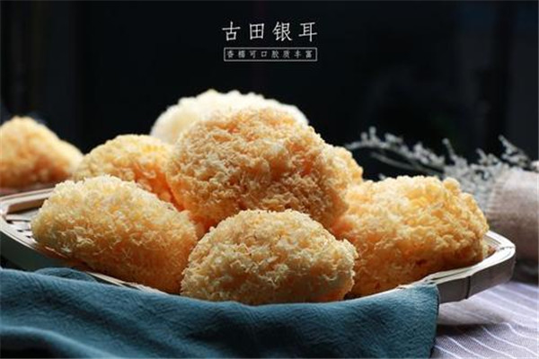古田銀耳加盟