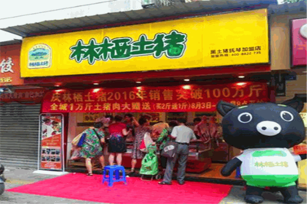 林棲土豬加盟