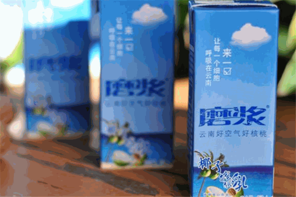 磨漿核桃乳加盟