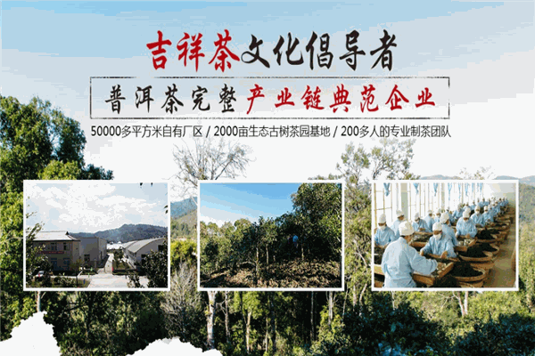 中吉號茶業(yè)加盟