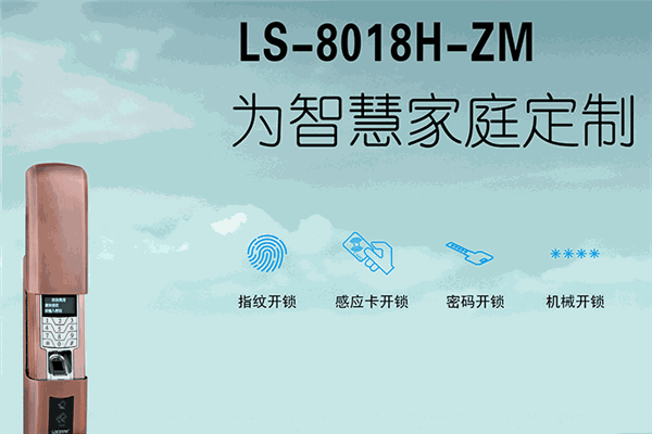 創(chuàng)佳智能門鎖加盟