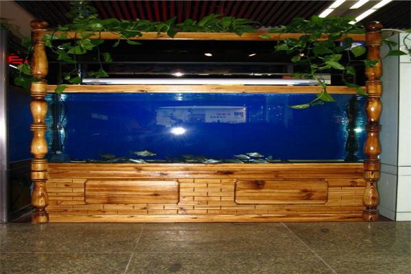 大自然生態水族加盟