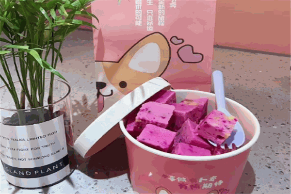 萬(wàn)友丘甜炒酸奶加盟