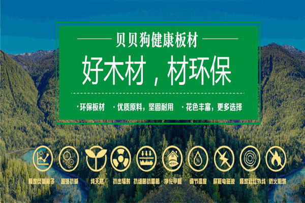 貝貝狗生態板加盟