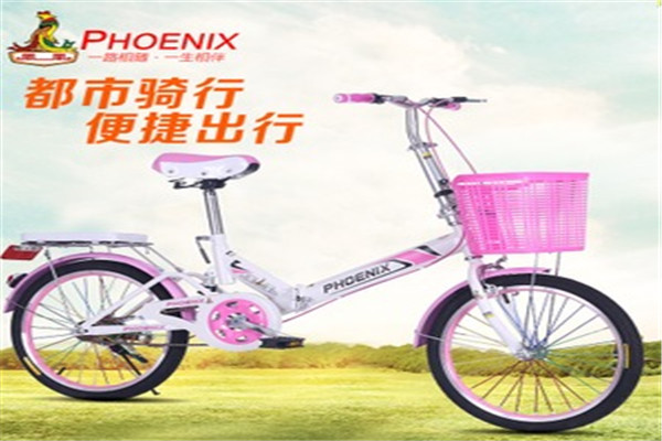 鳳凰自行車加盟