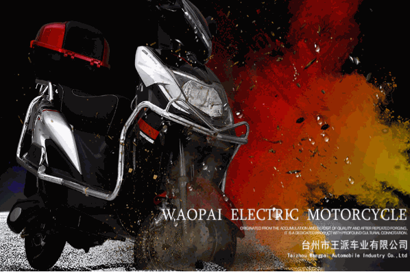 王派電動車加盟
