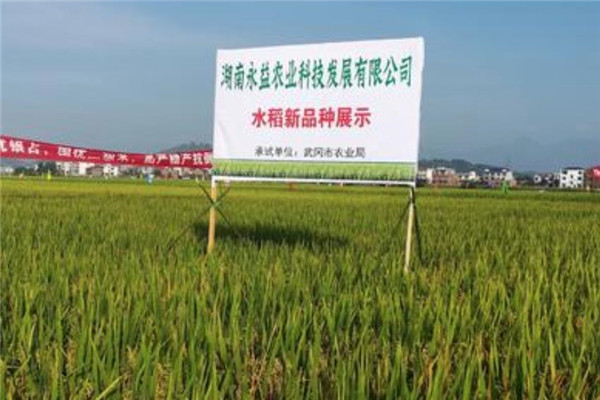永益農業加盟