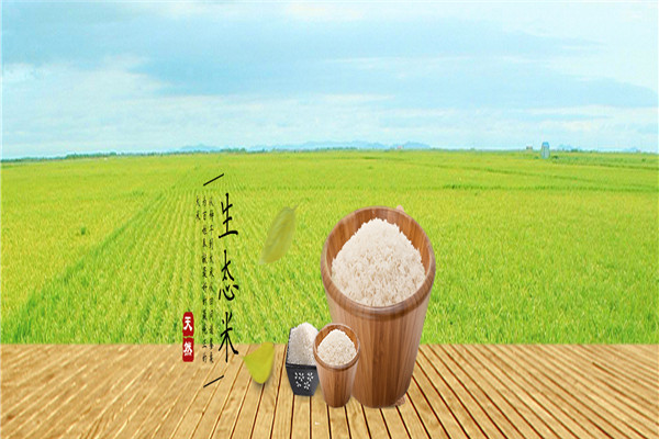 勇豐米業加盟