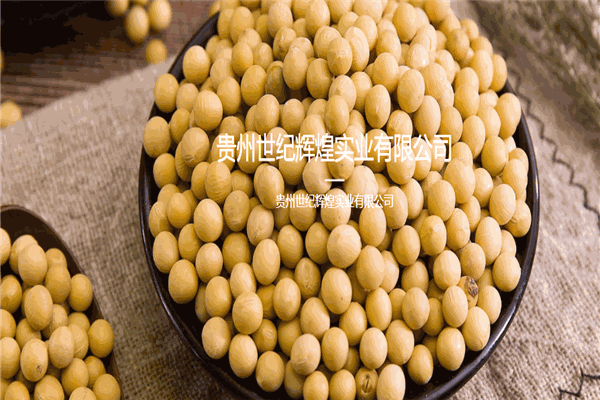 世紀輝煌食品加盟
