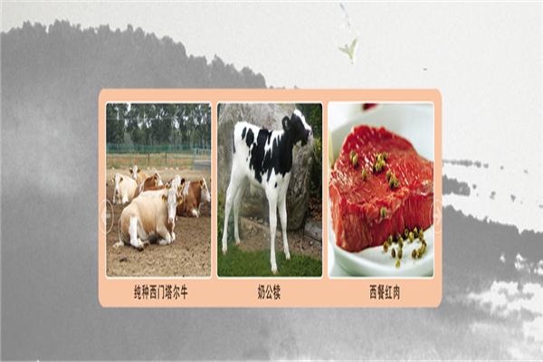 天和養殖加盟