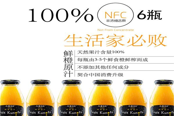水果功夫加盟