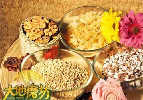 大地磨坊五谷養生加盟