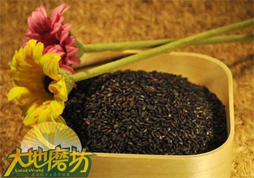 大地磨坊五谷養生加盟