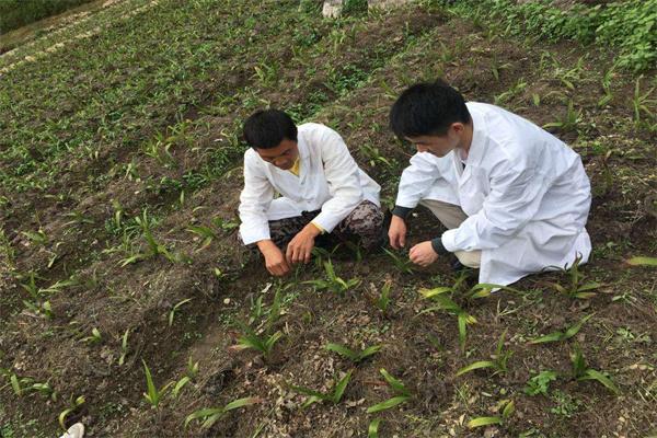 御品本草人工種植加盟