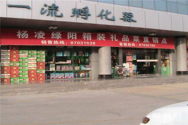 楊凌綠陽禮品菜加盟