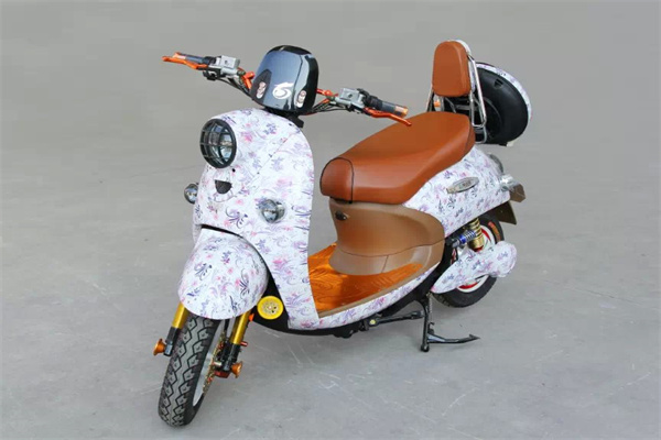 綠安騏電動(dòng)車加盟