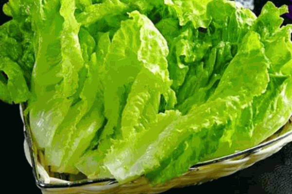 萬家燈火火鍋燒烤食材超市加盟