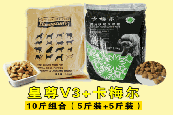 皇尊狗糧