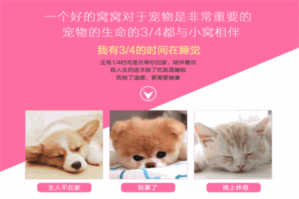 kai qu寵物用品