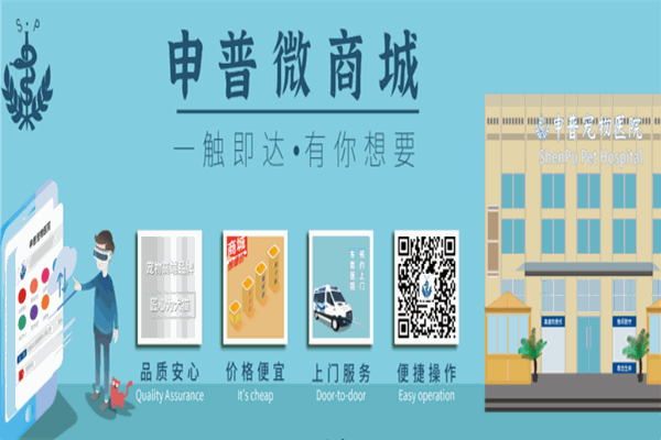 申普寵物醫院加盟