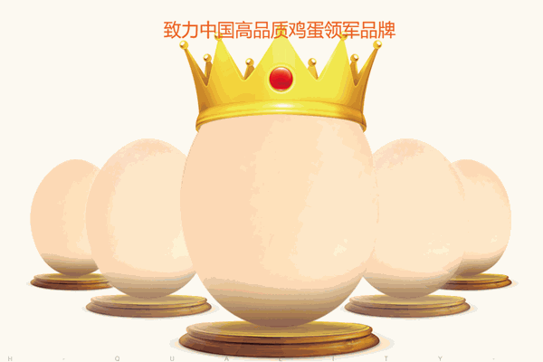圣迪樂村雞蛋加盟