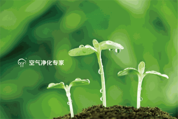 璇葉空氣凈化加盟