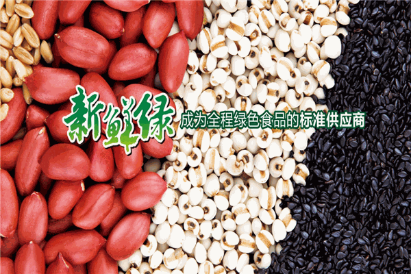 中綠粗糧王加盟
