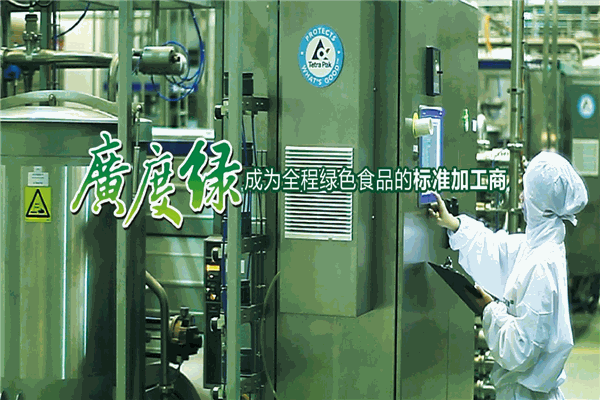 綠蛙膠水加盟