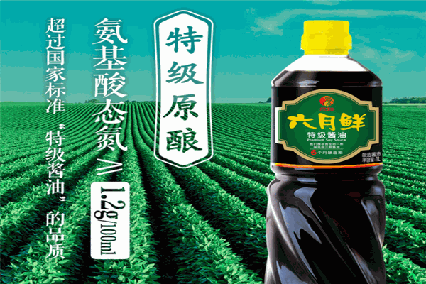 六月鮮調味品加盟
