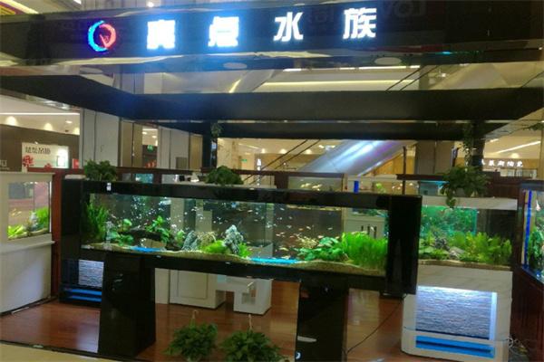 亮點水族加盟