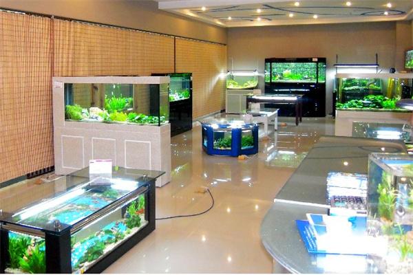 亮點水族加盟