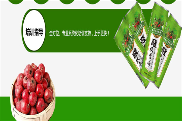 醒玖壹號加盟