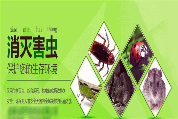 好兄弟蟲控加盟