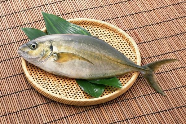 盛匯水產品加盟