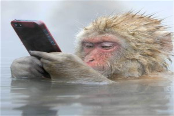 金點子DM廣告加盟