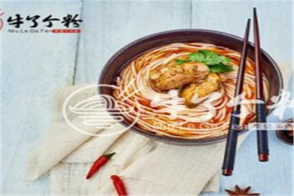 牛了個粉常德牛肉粉