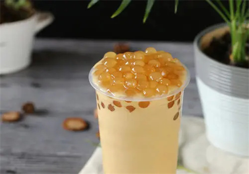 檬大咖奶茶加盟