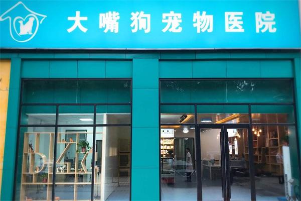 大嘴狗寵物醫院