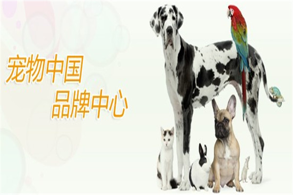 衛仕寵物產品加盟