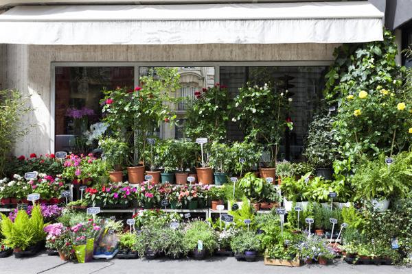 都市花鄉花店加盟