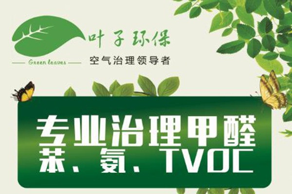 葉子環保除甲醛