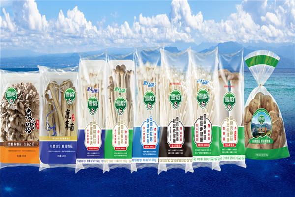 雪榕金針菇加盟