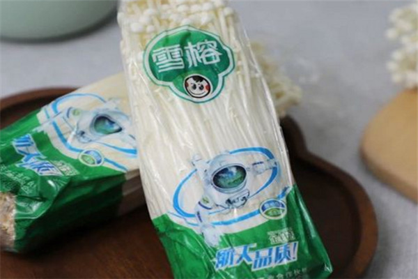 雪榕金針菇加盟