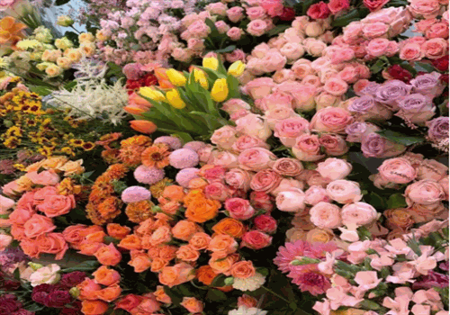 唯愛(ài)鮮花