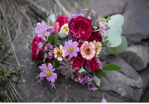 唯愛(ài)鮮花