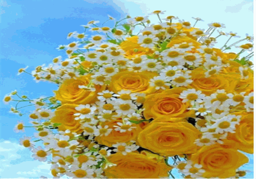唯愛(ài)鮮花