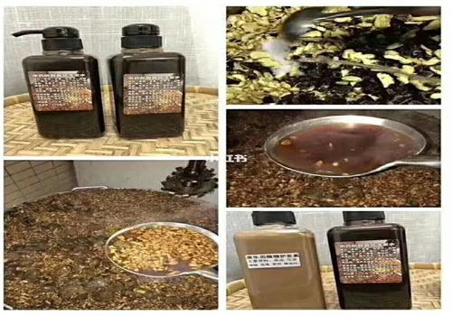 夢飛詩中藥洗發