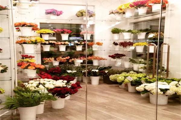 夢幻花園鮮花店加盟