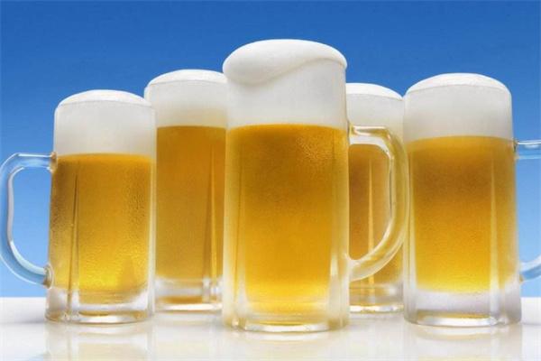 純啤啤酒加盟