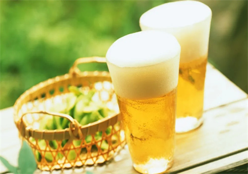 道盛啤酒加盟